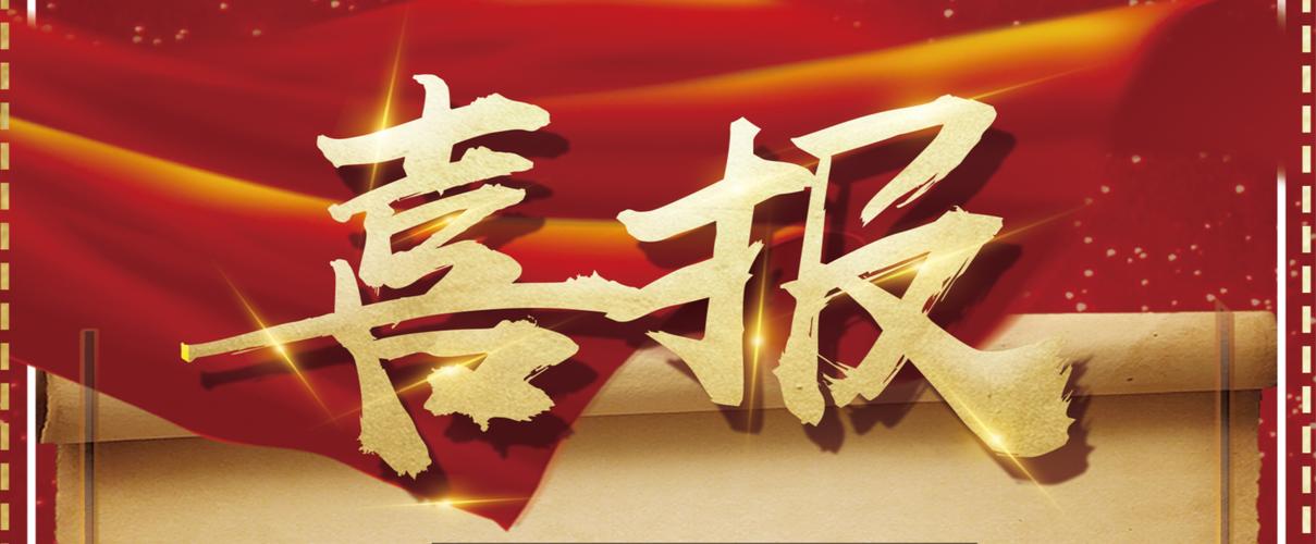 全新星力十代
